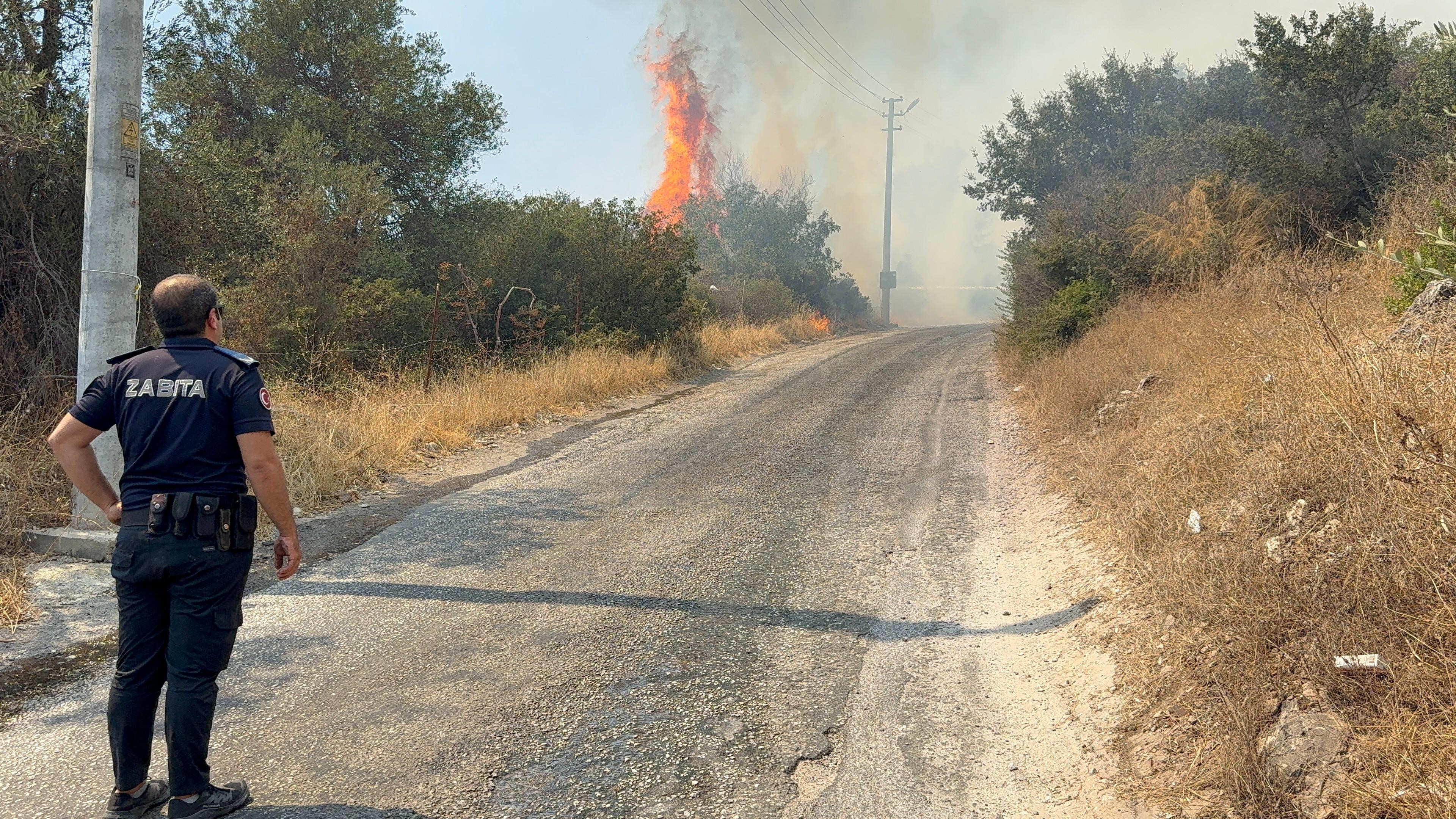 Bodrum'da makilik alanda yangına müdahale sürüyor