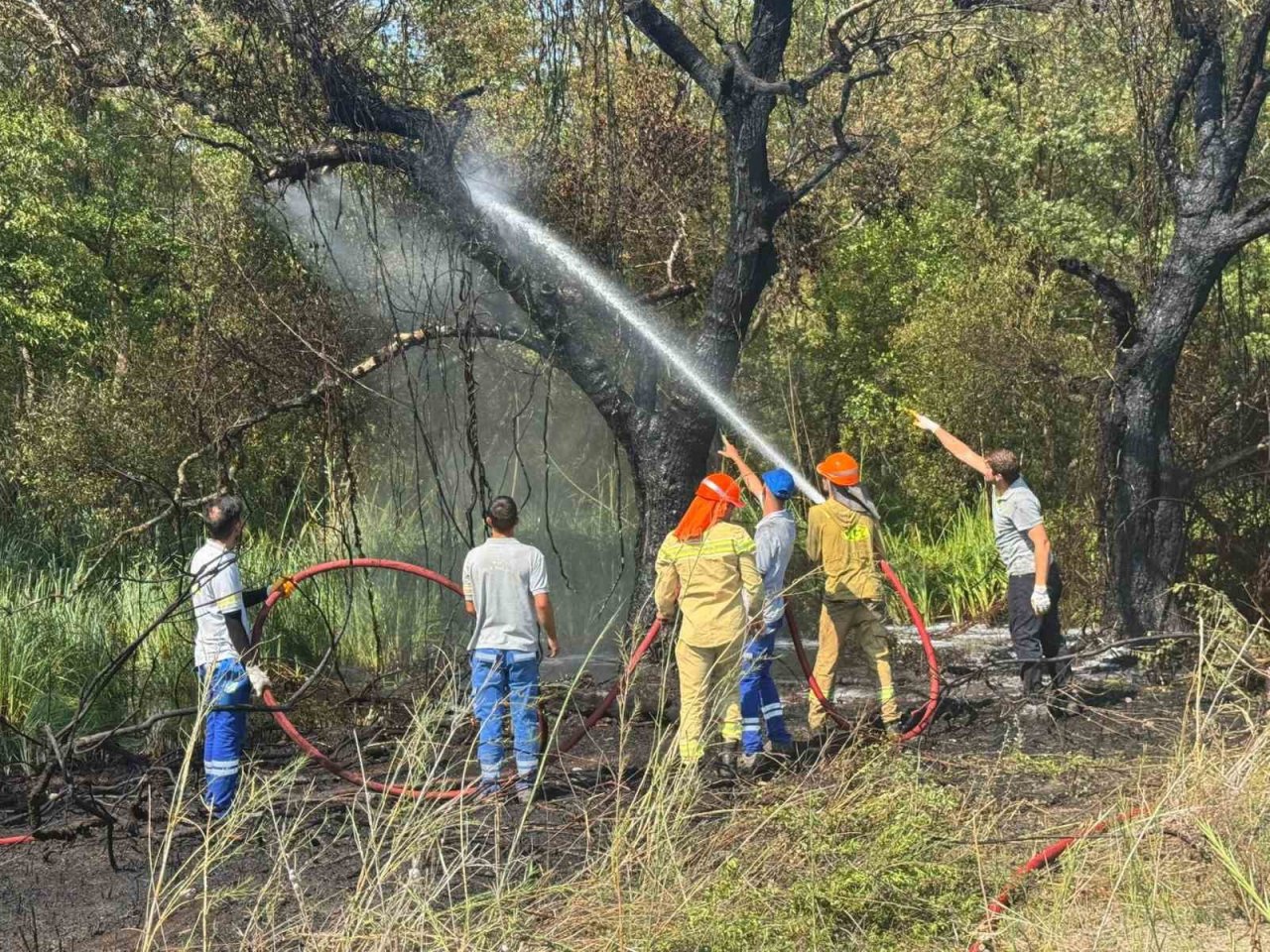 Fethiye Akmaz Plajı’nda çıkan yangın kontrol altına alındı