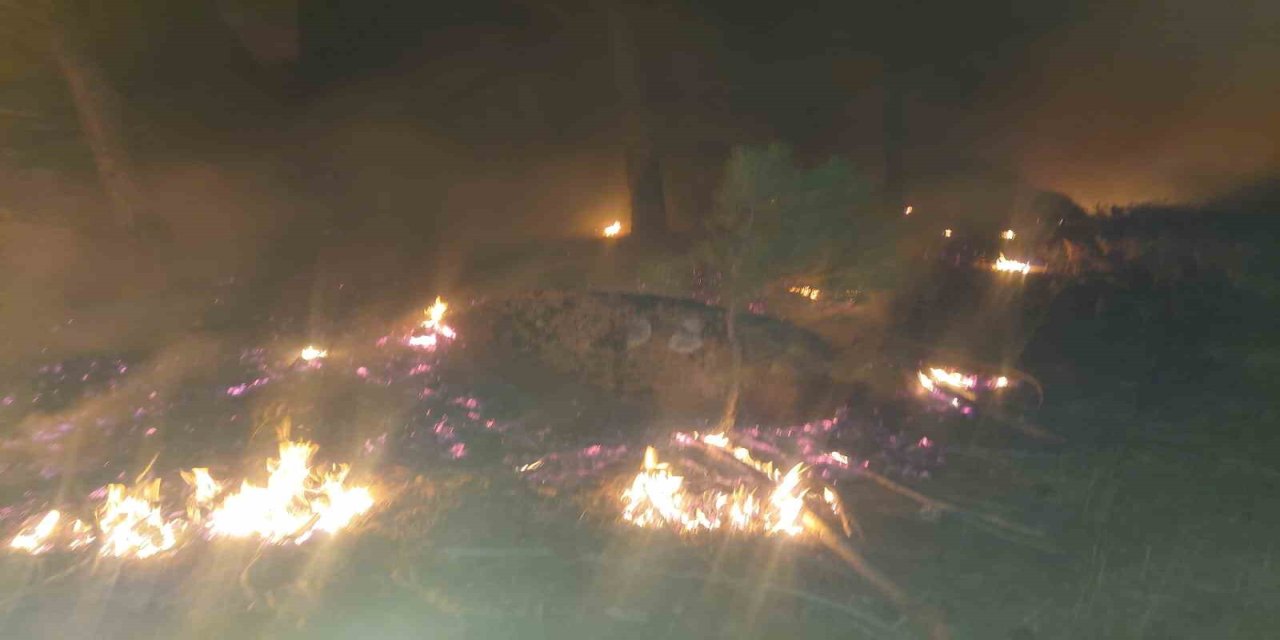 Yatağan’da çıkan orman yangını söndürüldü