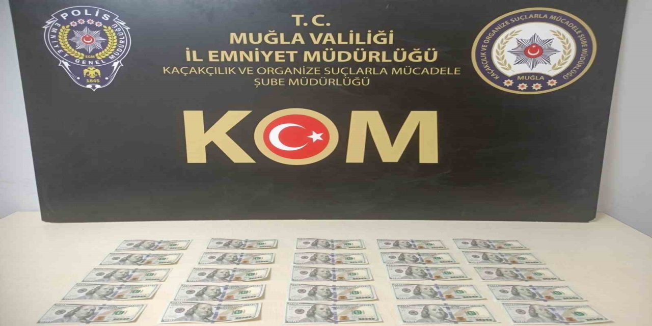 Muğla’da sahte dolar operasyonu