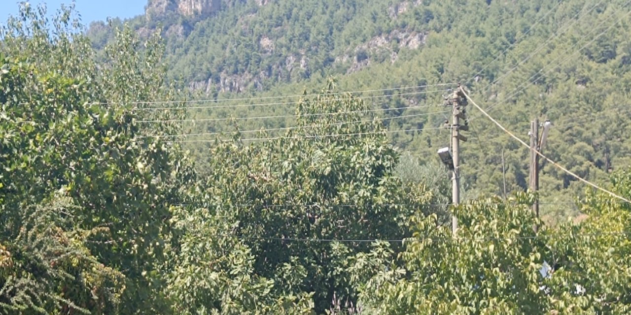 Akyaka’da elektrik telleri tehlike saçıyor