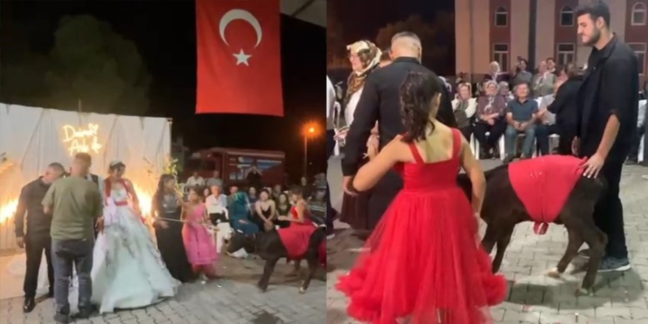 Düğünde damada eniştesinden ilginç hediye