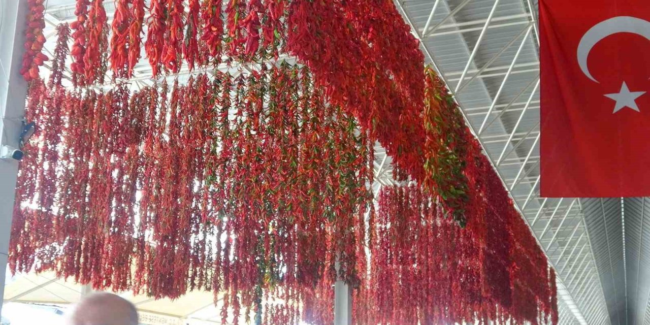 Muğla’da kurutmalıklar yurt dışına açıldı