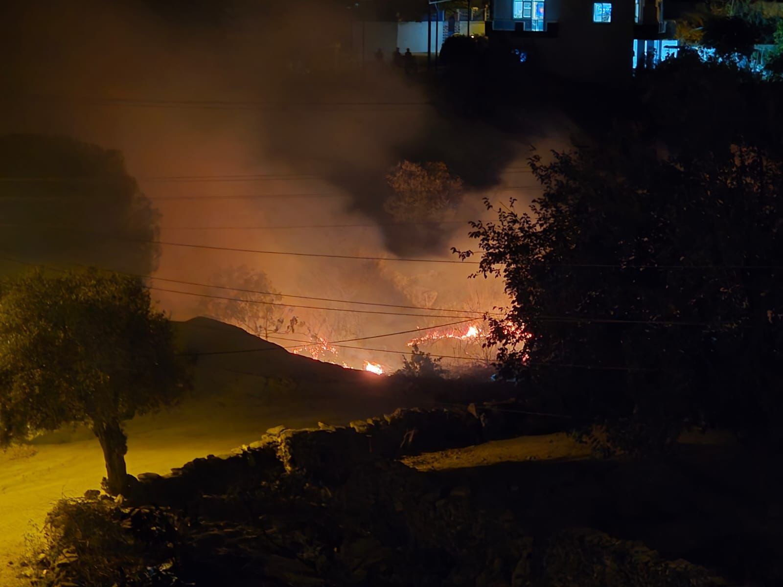 Milas Çomakdağ'da çıkan yangın hızlı müdahale ile kontrol altında