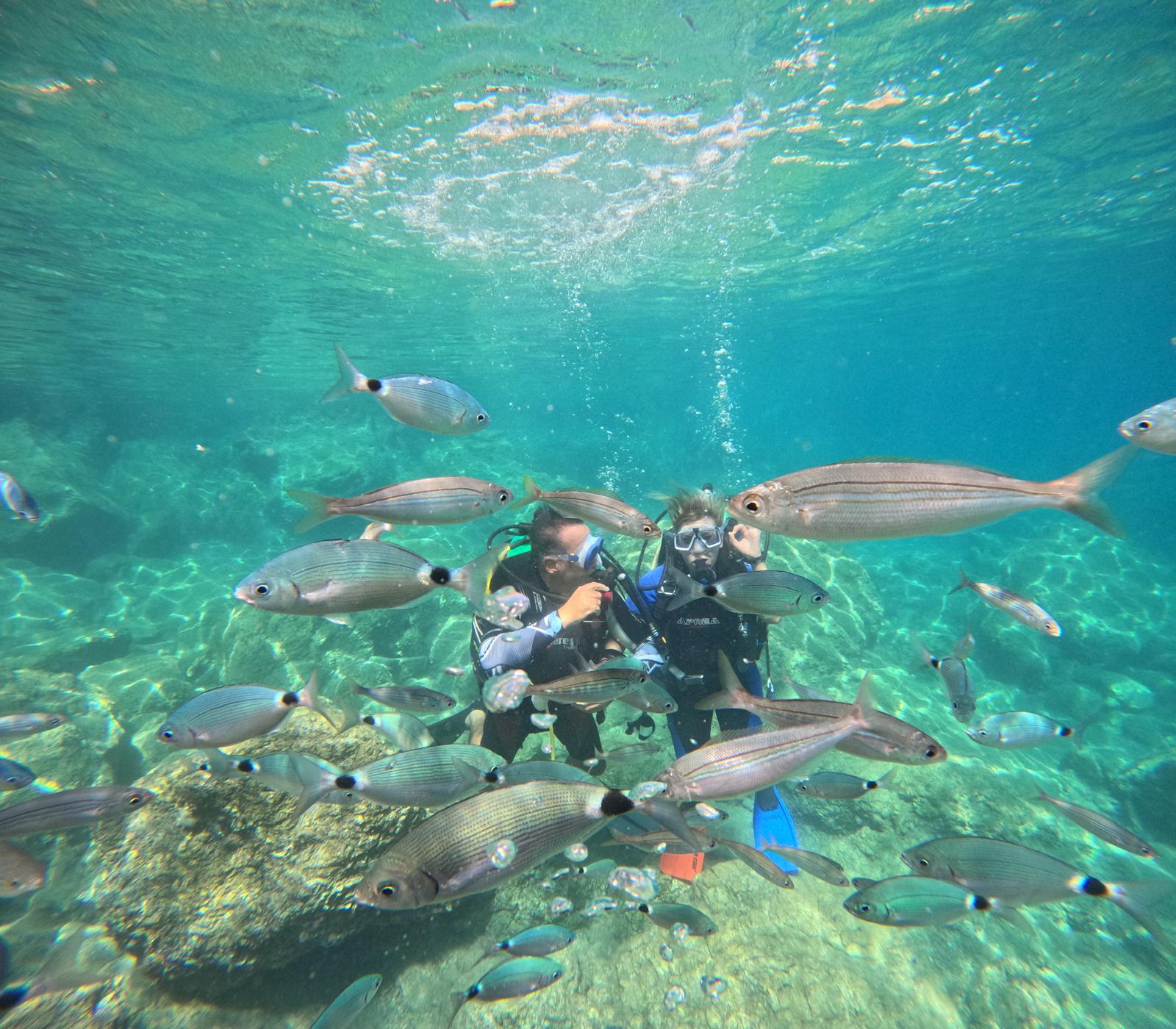 Marmaris'in en güzel denizaltı manzaraları nerede?