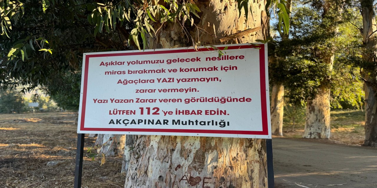 Akçapınar muhtarlığından ağaçlara yazı yazanlara ihtar!