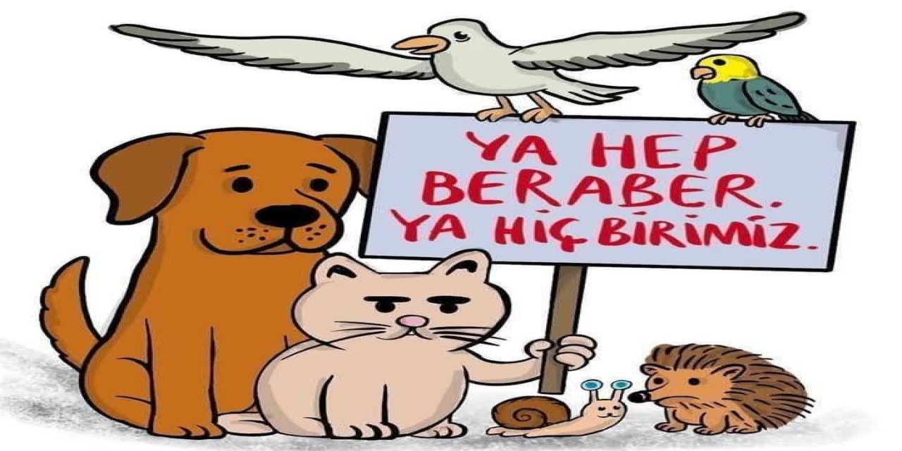4 ekim hayvanları koruma günü: kutlama değil yas günü