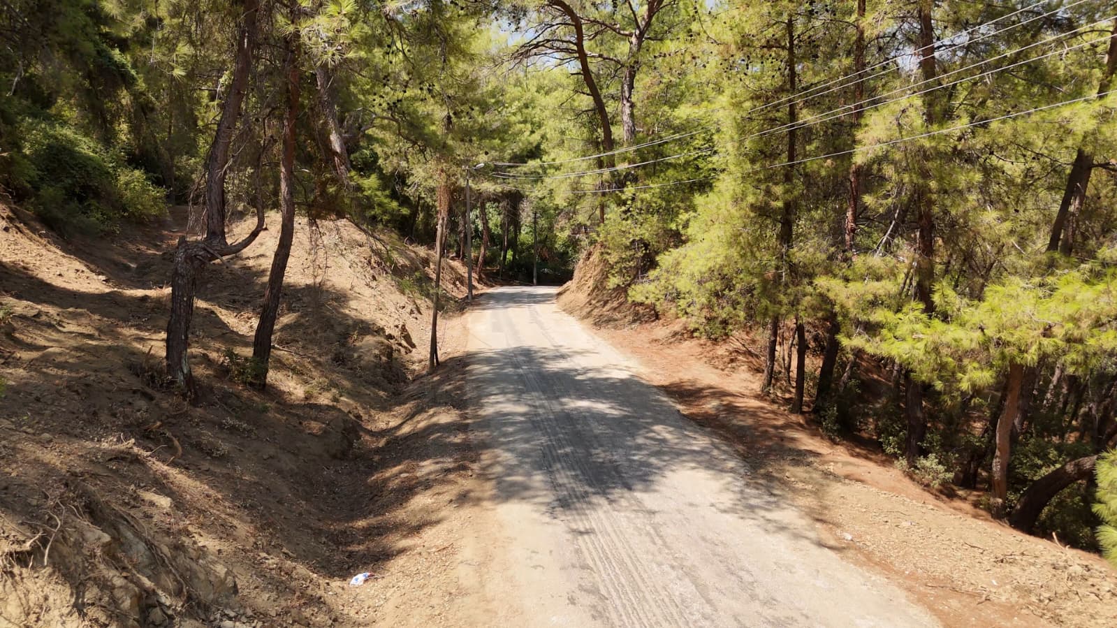 Marmaris orman ekiplerinden yıl boyunca yangına karşı teyakkuz