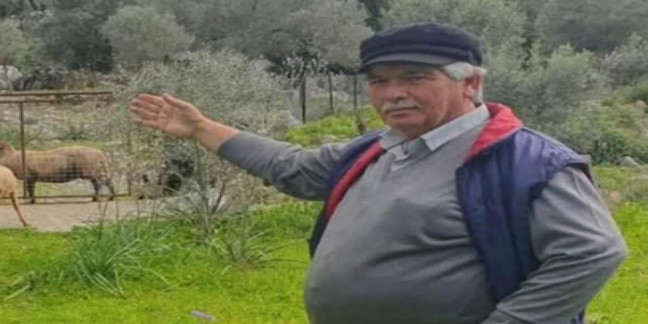 Sürek avında kaza kurşunu can aldı