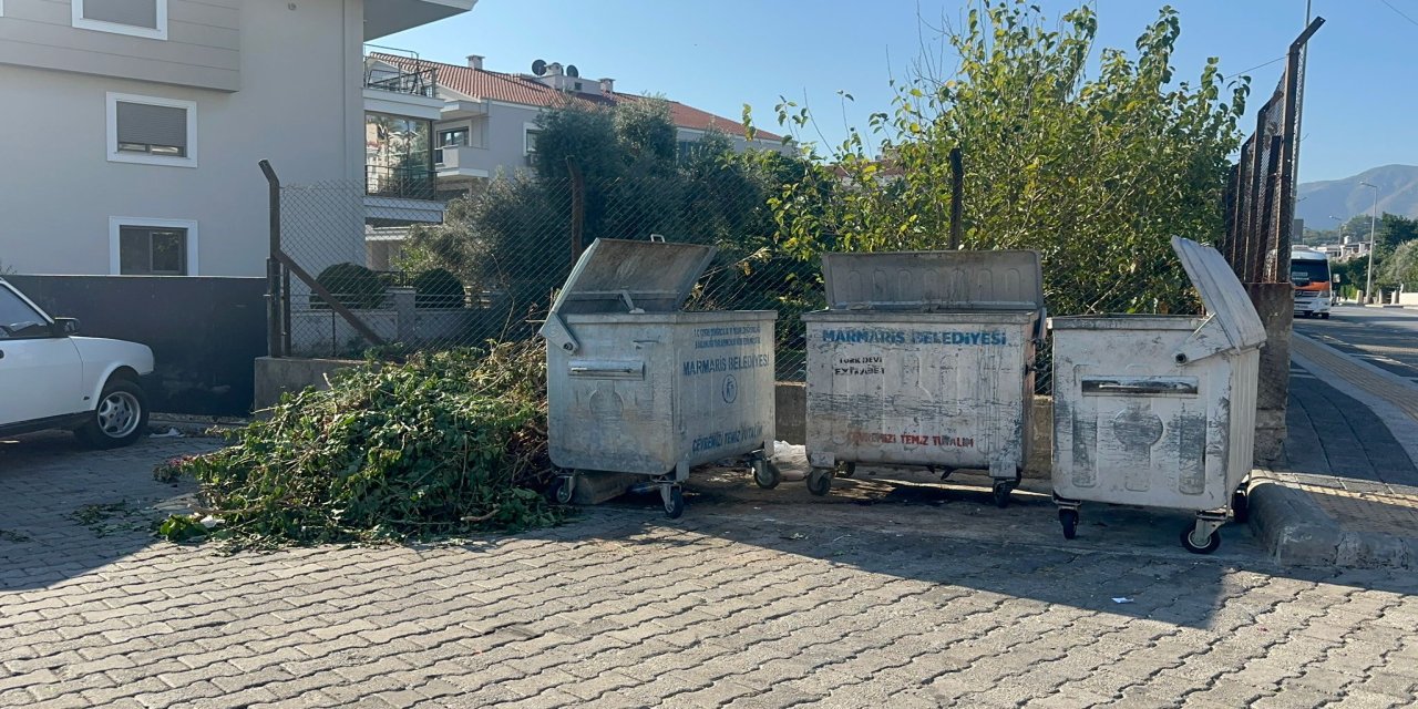 Budadın da ne oldu?