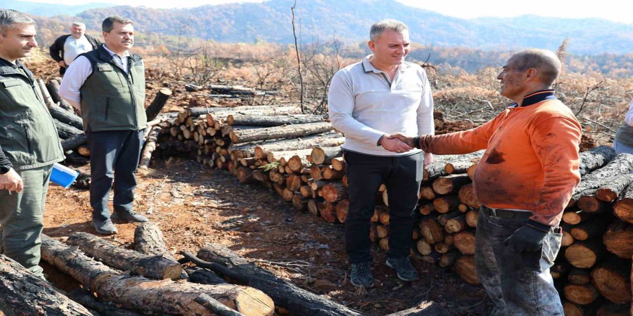 Köyceğiz’de yanan sahalar fidan dikimi için hazırlanıyor