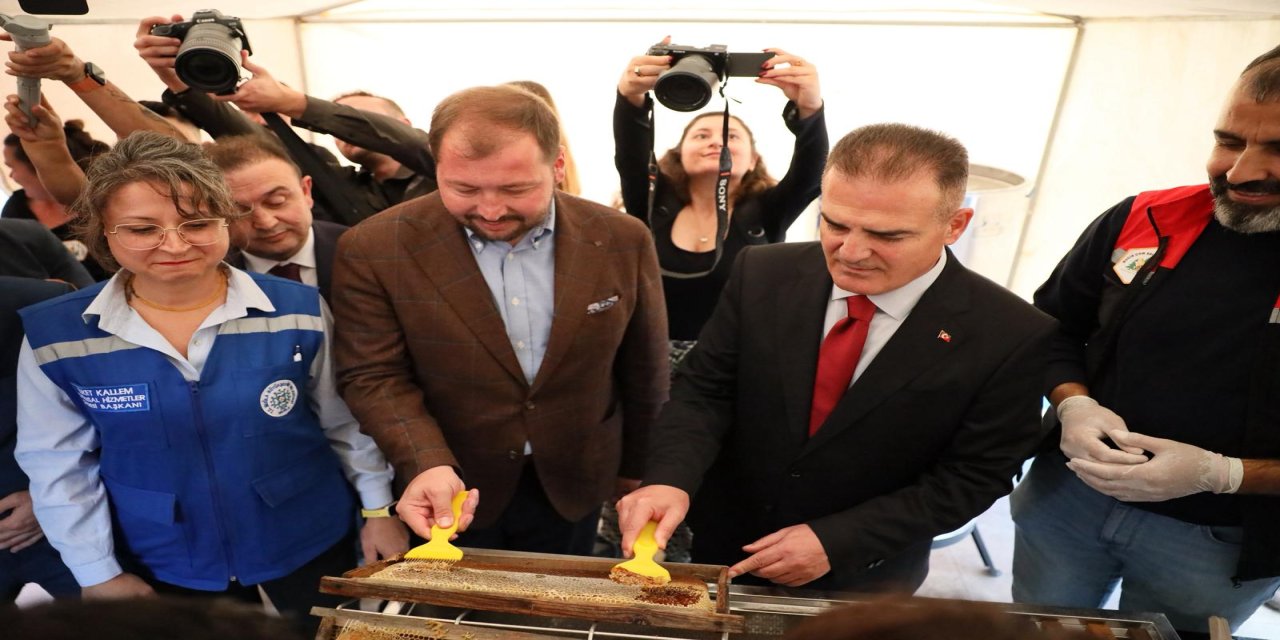 Muğla'da birinci çam balı hasat şenliği düzenlendi