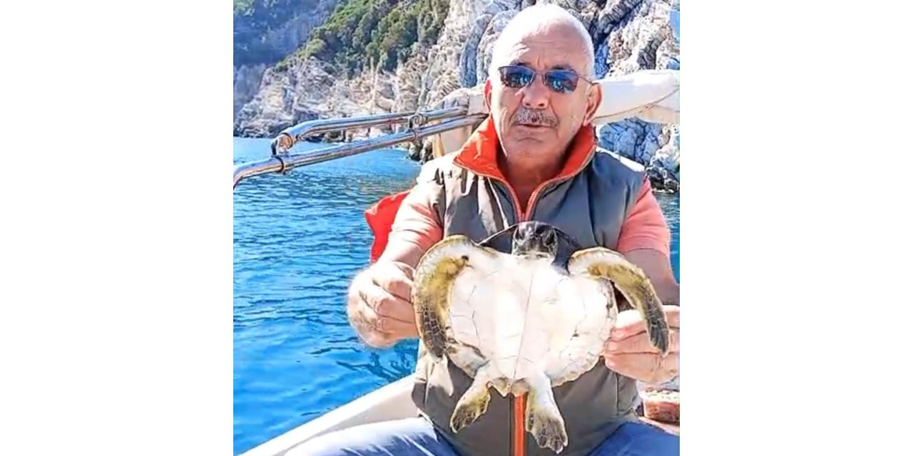 Yavru kaplumbağanın denizde can pazarı ' çevreciler kurtardı'