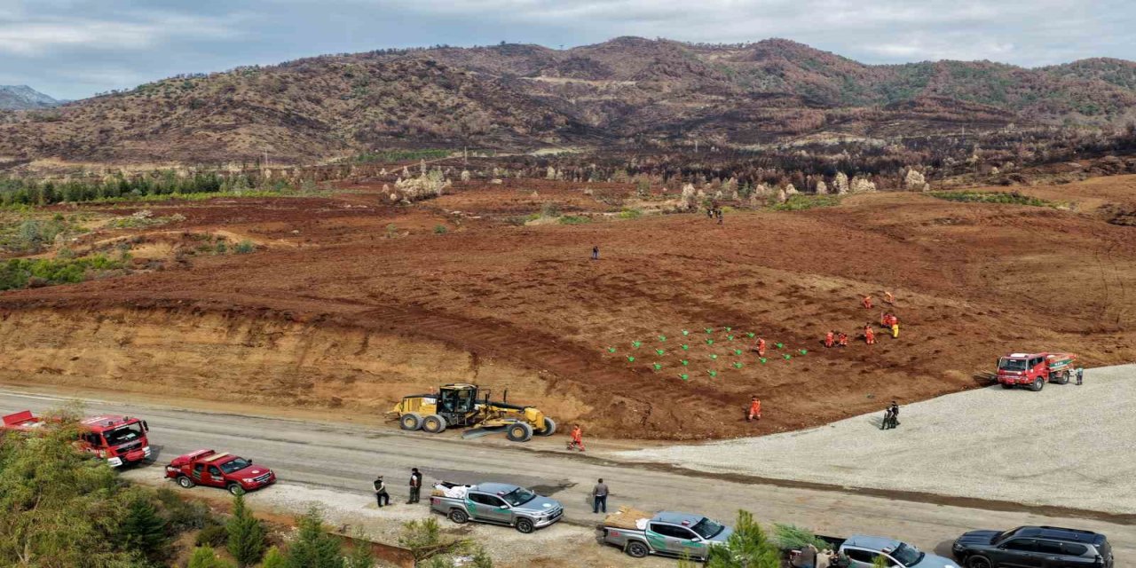 Muğla Orman Bölge Müdürlüğü ‘Yeşil Vatan’ seferberliğine hazır