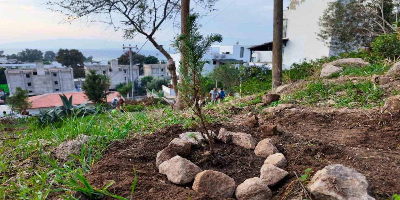 Datça’da ’huzur ve güven’ uygulaması