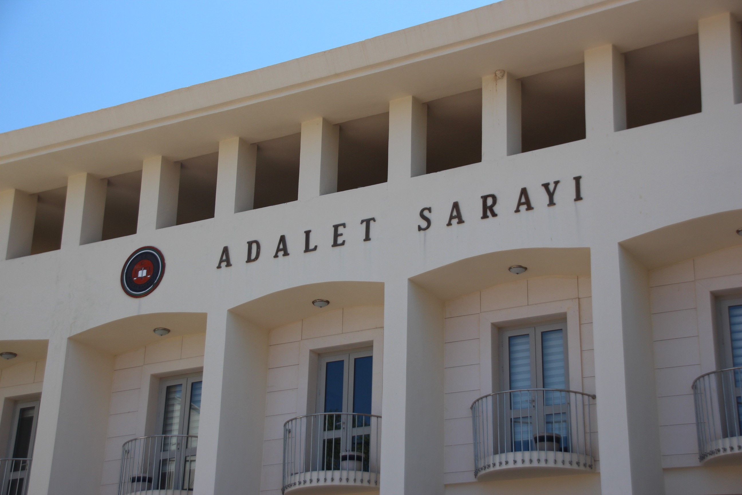 Bodrum'da  köpekleri vuran şahıs tutuklandı