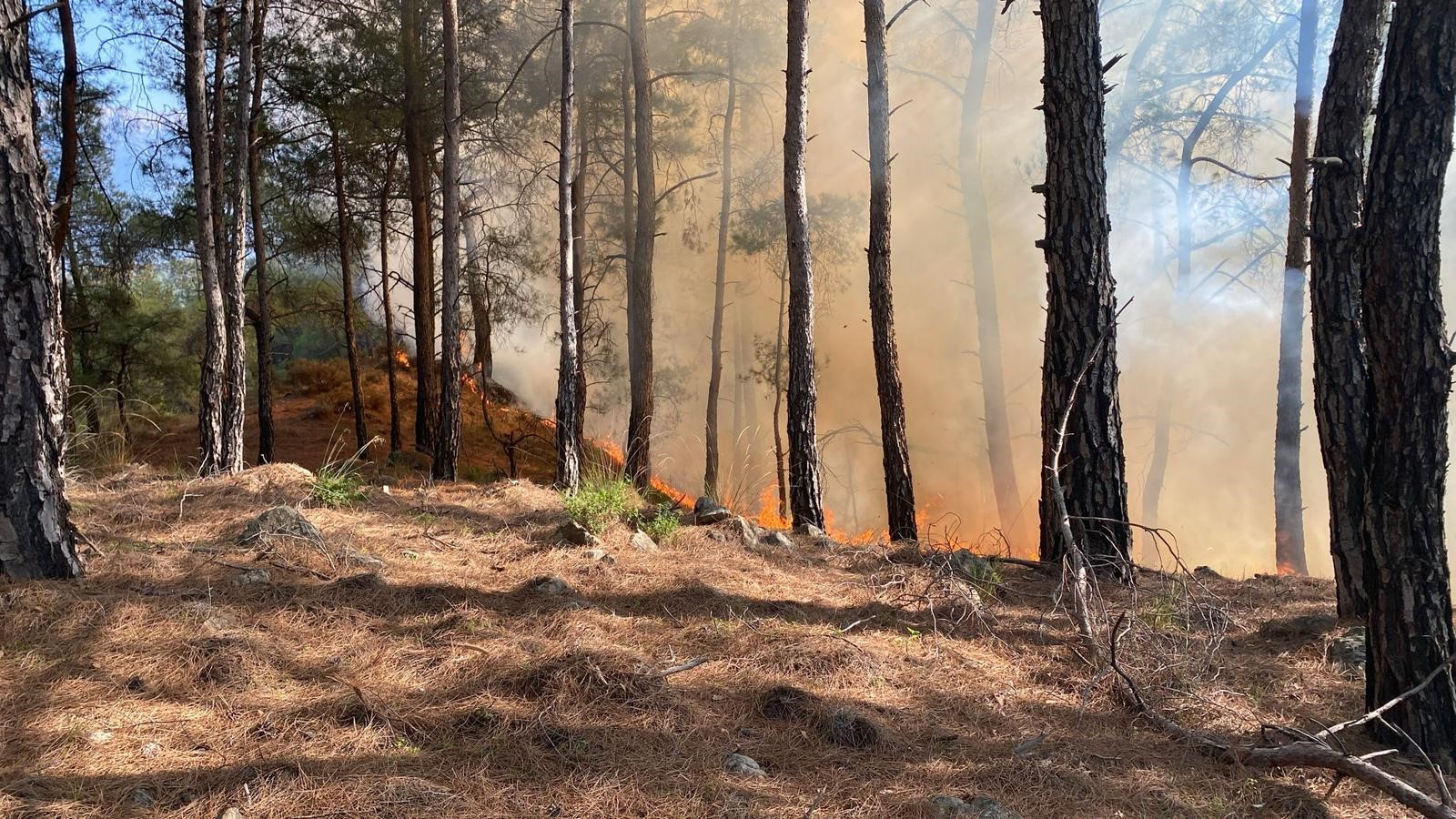 Seydikemer'de orman yangını kontrol altına alındı