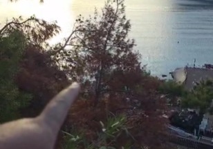 İçmeler’de kuruyan çam ağaçları “Kazaya sebep olmadan kaldırılmalı”