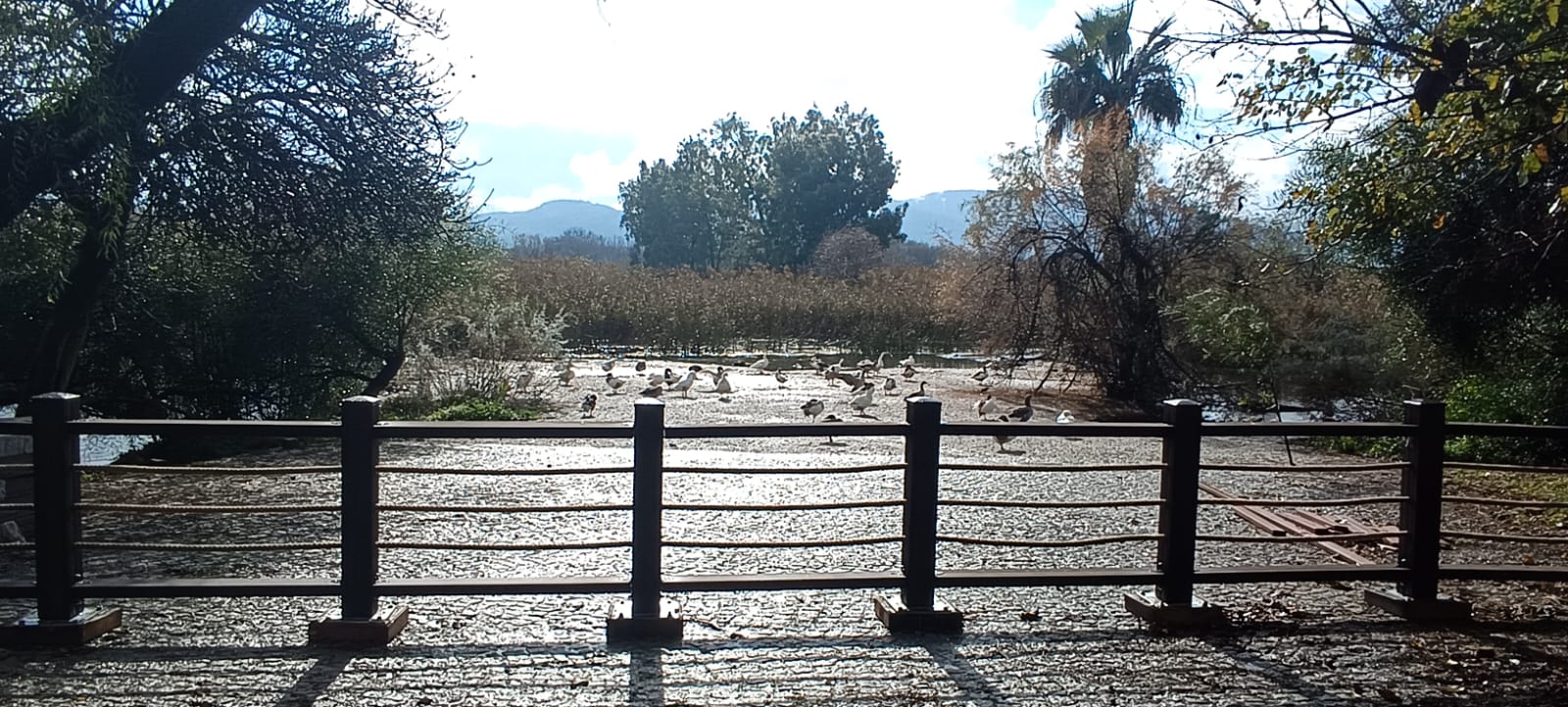 Akyaka Azmak nehrinin kenarına çitli güvenlik önlemi tamamlanmak üzere