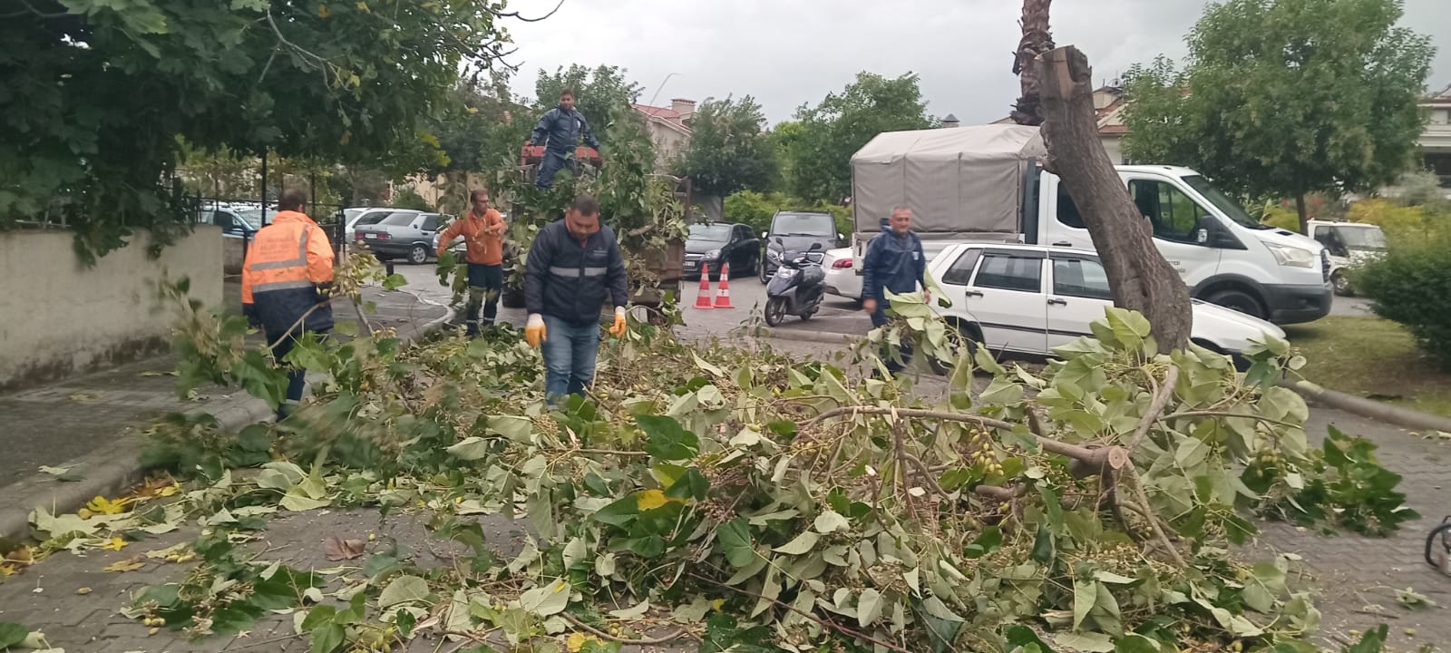 Marmaris'te fırtına devirdi ekipler topladı
