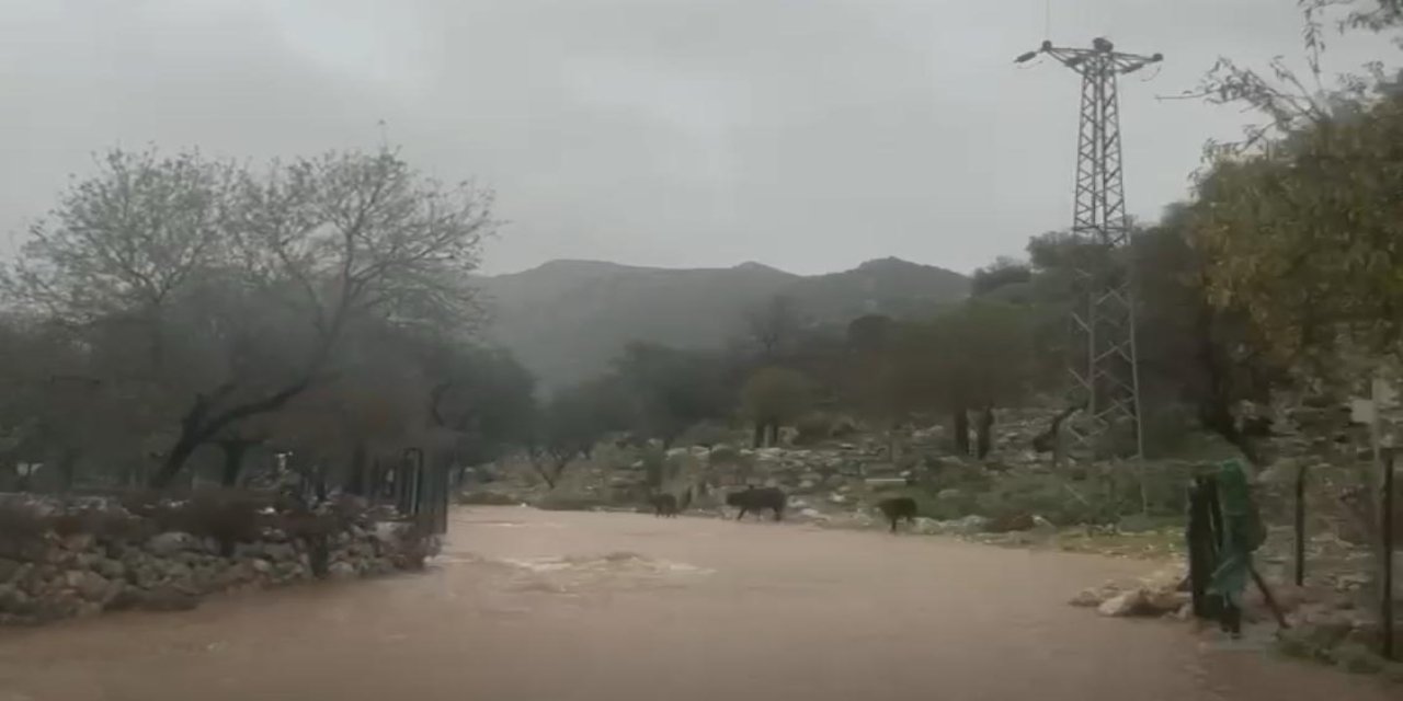 Marmaris’te sağanak yağış Taşlıca Söğüt yolunu dereye döndürdü