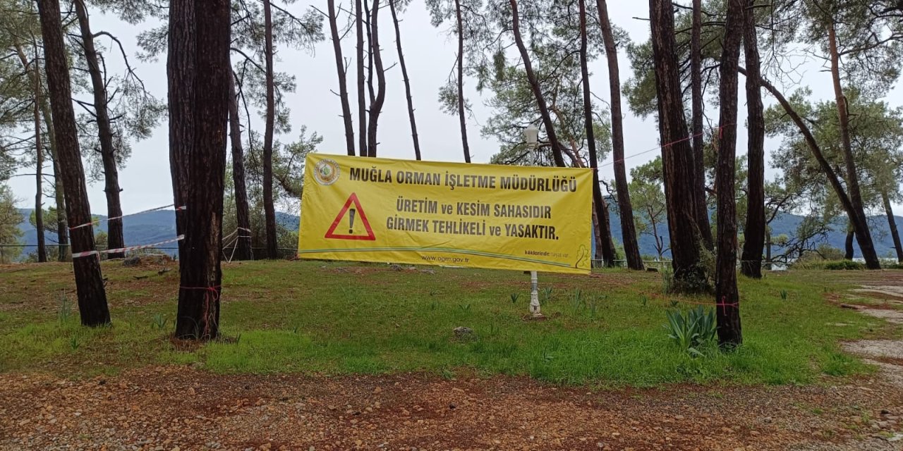 Akyaka orman kampındaki bu pankartlar ne?