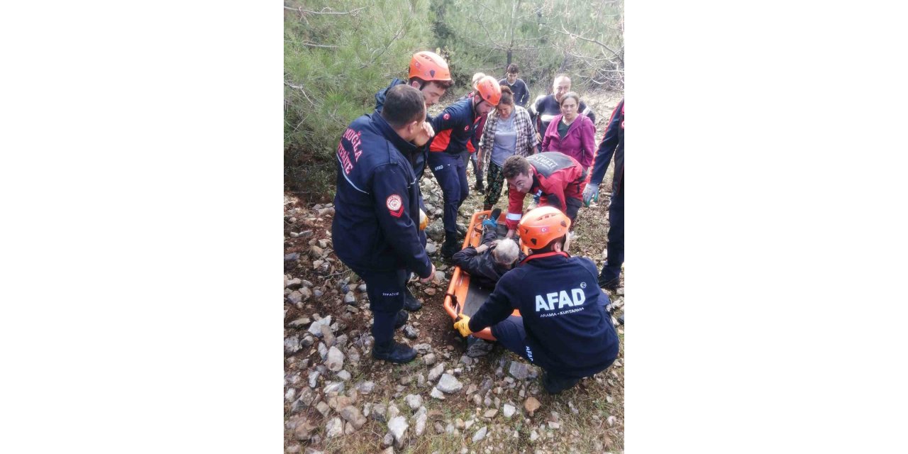 Menteşe'de hayvan otlatırken kayalıklardan düştü