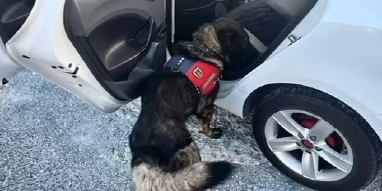 Jandarma tarafından Muğla’da yapılan denetimde bir haftada 80 şahıs yakalandı