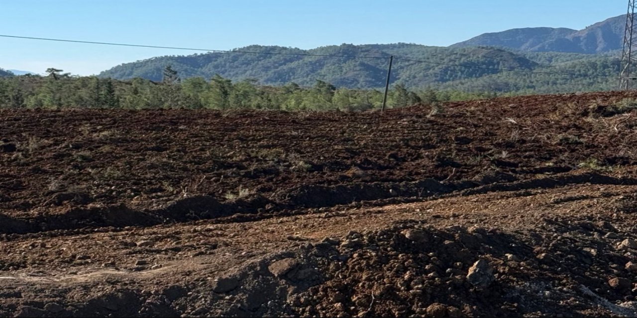 Bencik Mevkii’nde 170 Bin Fidan Toprakla Buluşuyor