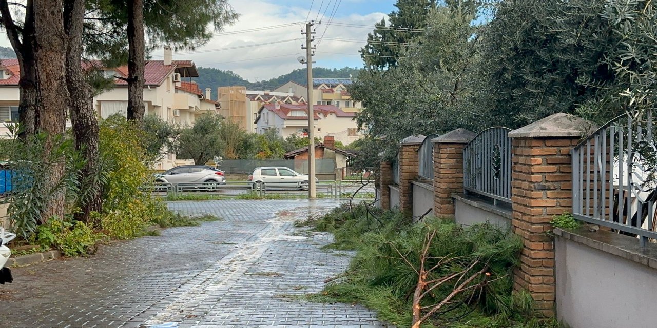 Marmaris’te kesildikten sonra olduğu yerde bırakılan ağaç dalları tepki çekti