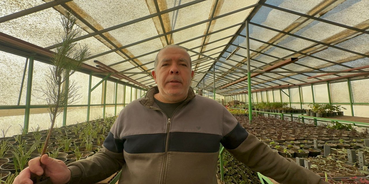 Marmaris’te ağaçlandırma çalışmaları sürüyor