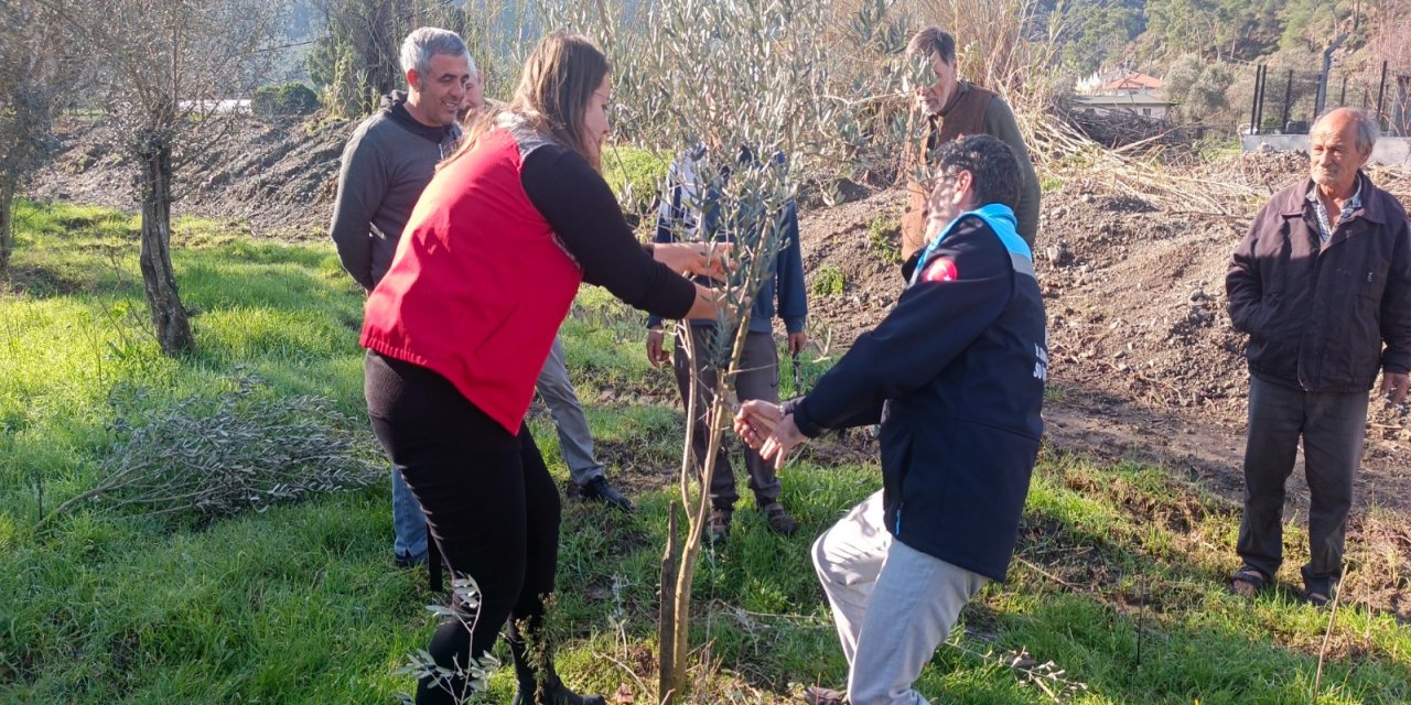 “Cuma buluşmaları” kapsamında Karaca mahallesi’nde zeytin budama eğitimi