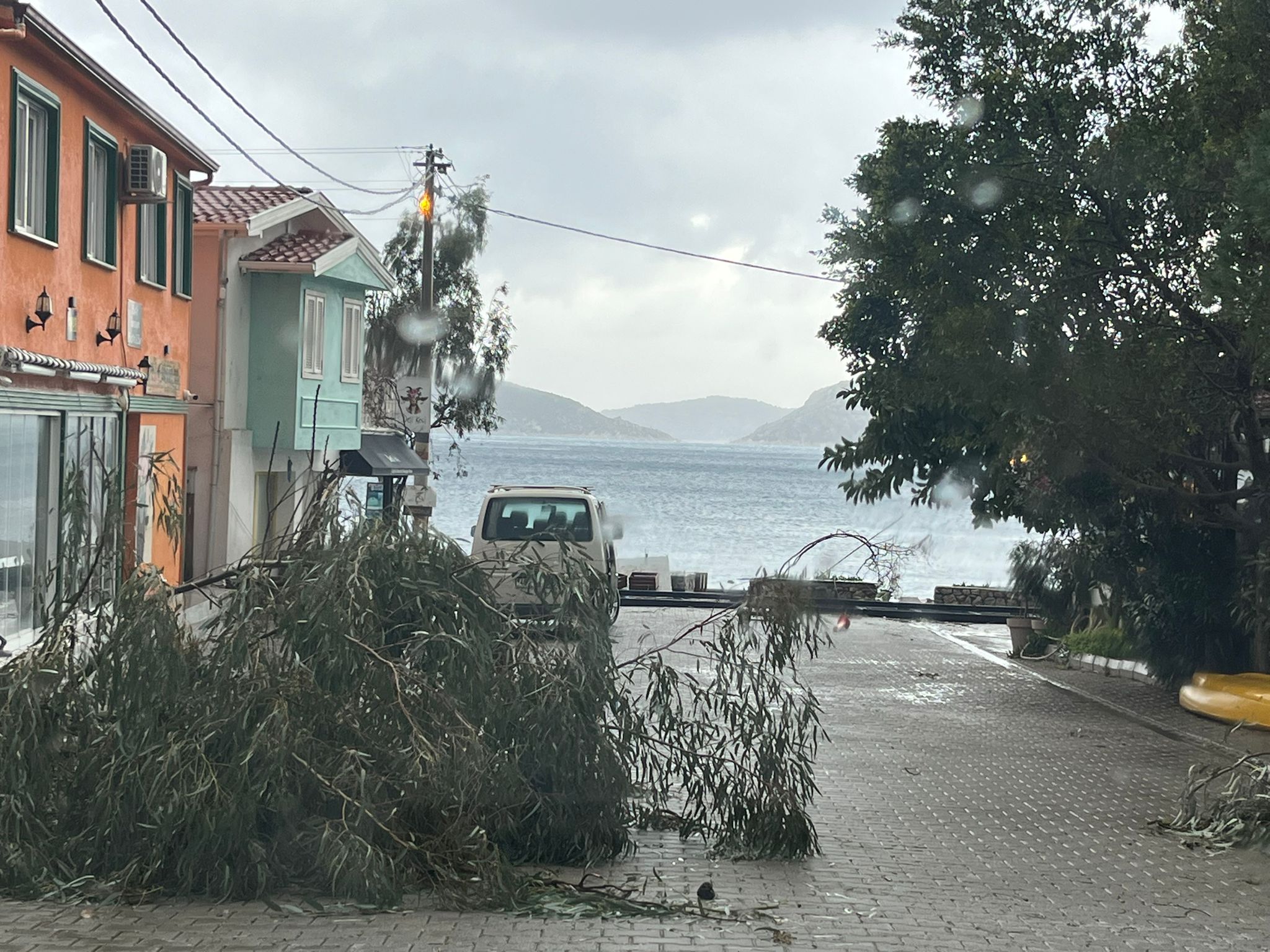 Fırtına Söğüt mahallesini karanlıkta bıraktı 'saatlerdir elektrik yok'