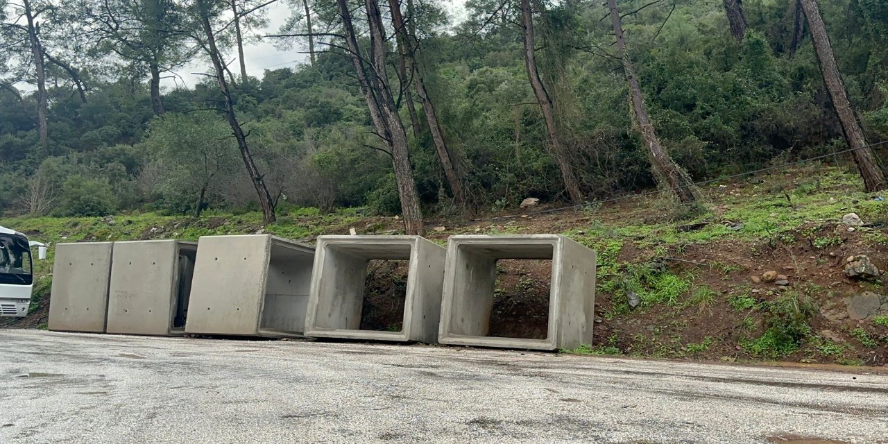 Bu beton bloklar neden hala ormanın dibinde?