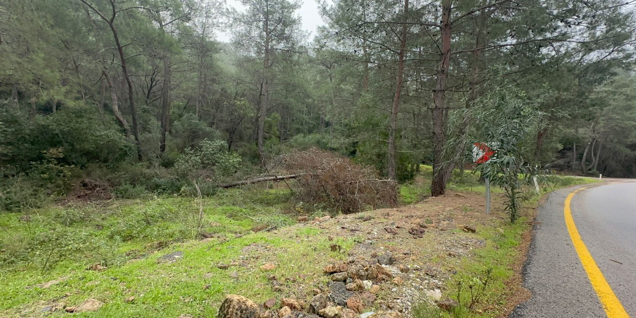 Marmaris’te şiddetli fırtına ağaçları devirdi