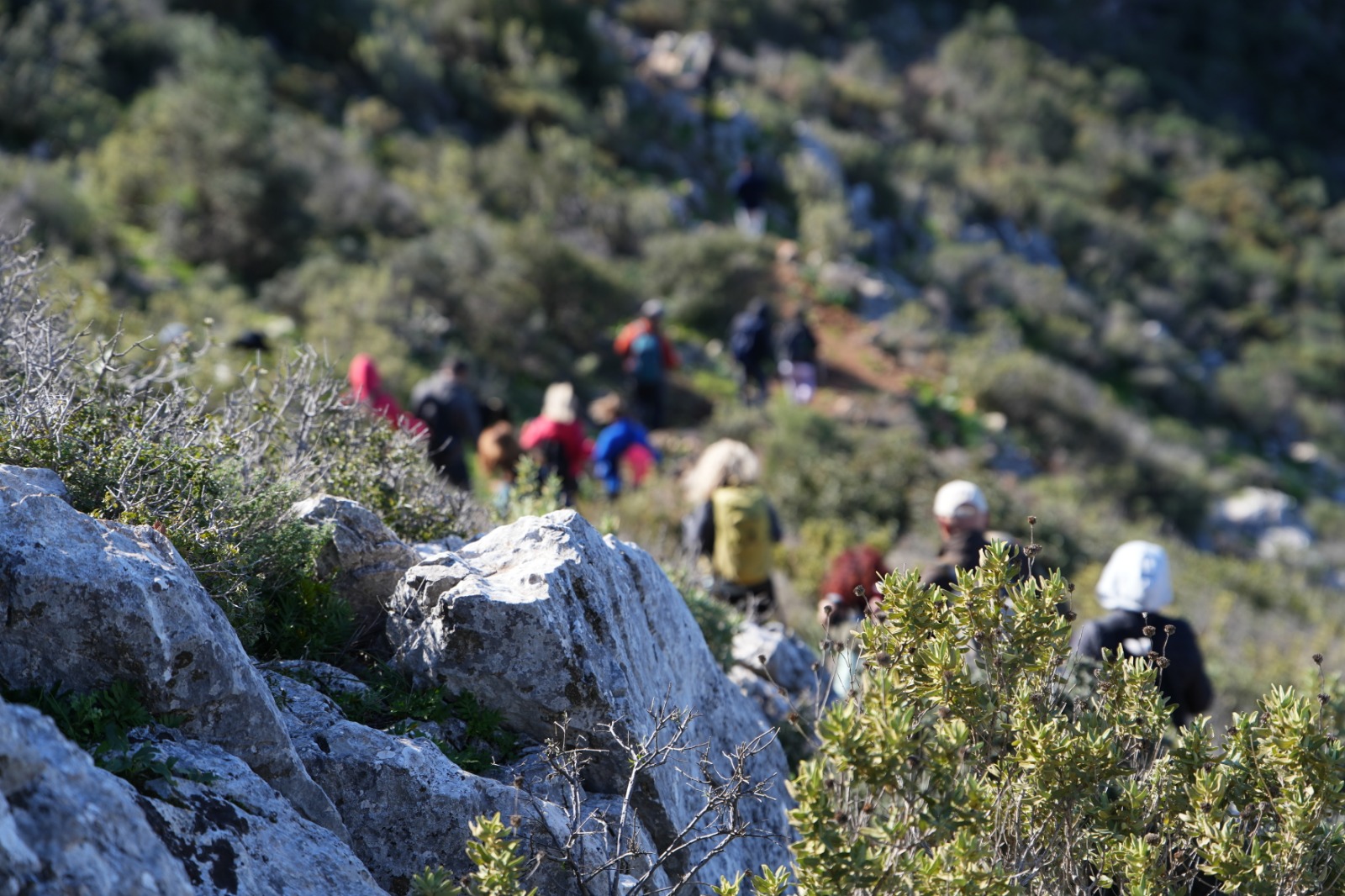 35 Kilometrelik Karia - Phoenix Yürüyüş Yolunun ilk trekking etkinliğini MGD yaptı