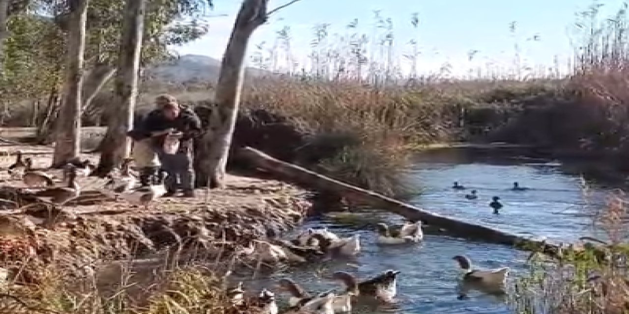 Akyaka’da kazlar ekmeğe hücum etti
