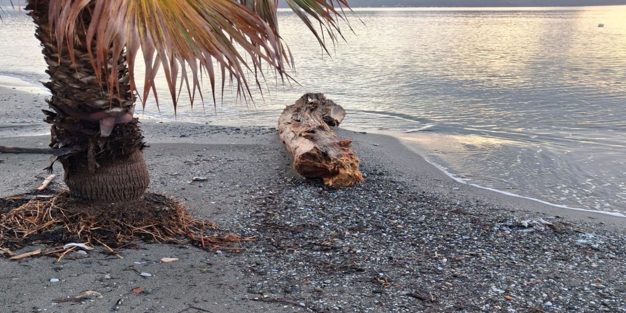 Marmaris’te fırtına sonrası sahiller ağaç parçalarıyla doldu