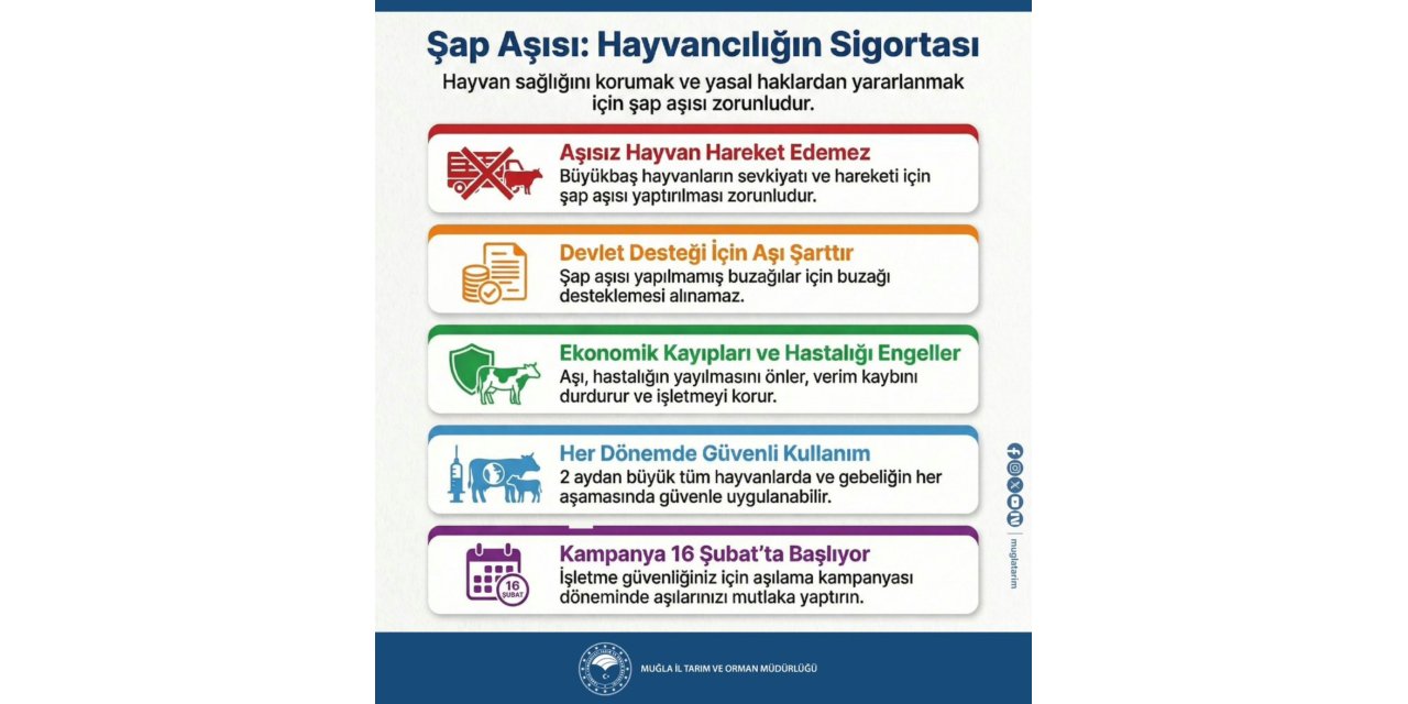 Muğla’da şap aşılama kampanyası 16 Şubat’ta başlıyor