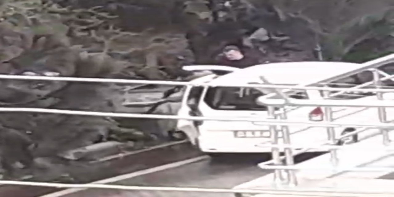 Yaralı domuz sokak ortasında silahla vuruldu