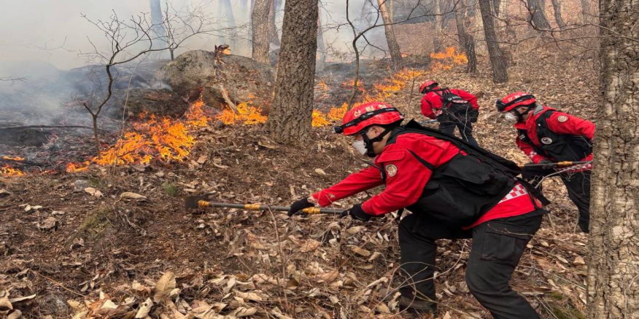 Güney Kore’de 3 gündür devam eden orman yangınında 190 hektarlık alan küle döndü