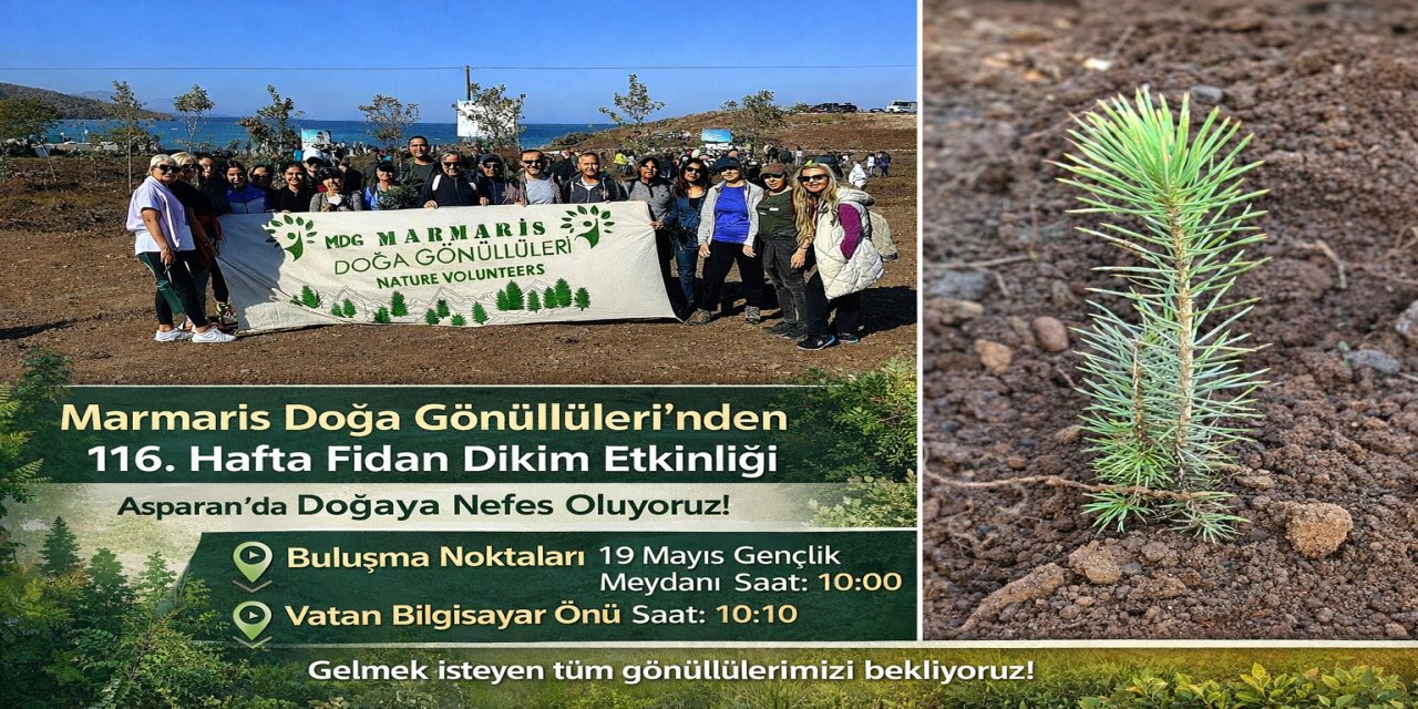 Marmaris Doğa Gönüllüleri’nden 116. hafta fidan dikim etkinliği