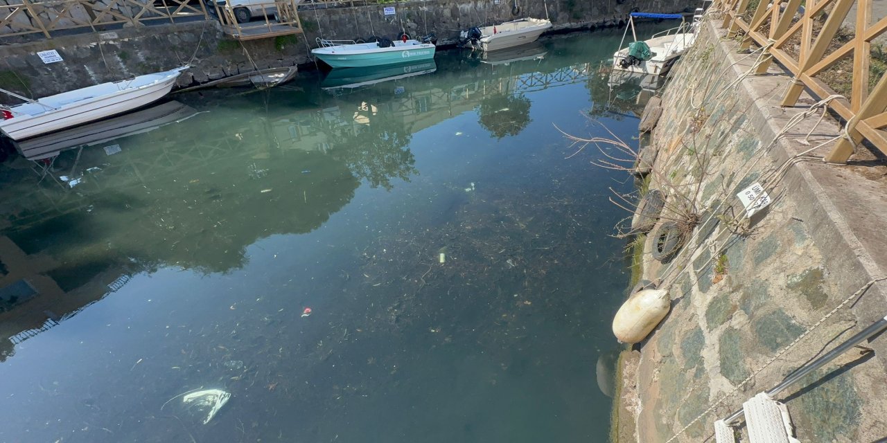 Bu koku nereden geliyor?