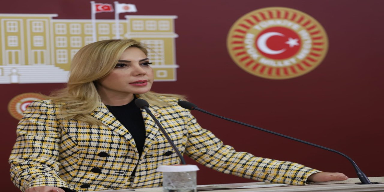 AK Parti 27. dönem Milletvekili Yelda Erol Gökcan'ın Ramazan bayramı mesajı