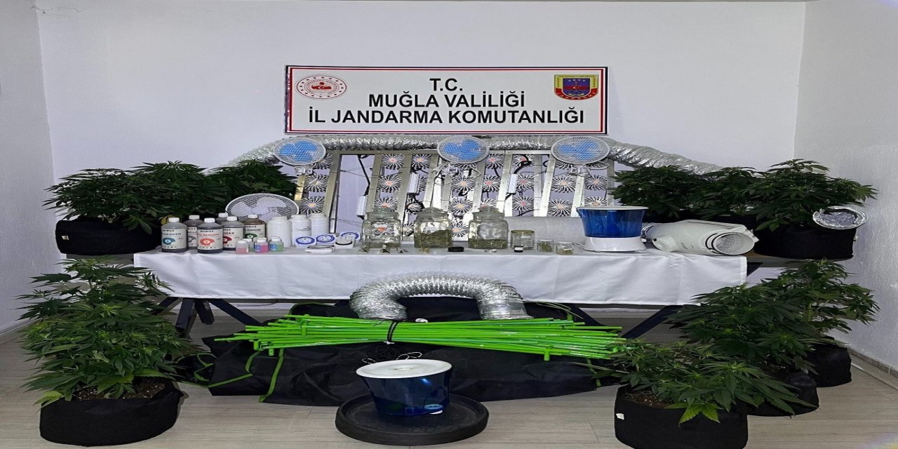 Muğla Jandarmasından zehir tacirlerine Mart ayı darbesi: 173 gözaltı