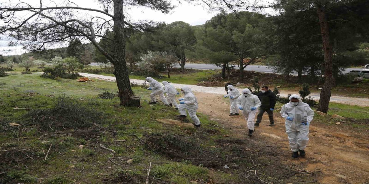 Terminatör böcekler doğaya salındı