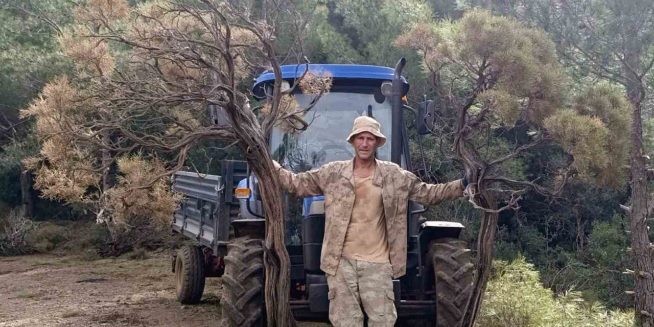 Kuru Geven köylünün gelir kaynağı oldu