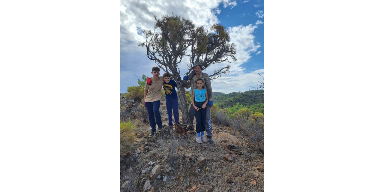 Ormandan fabrikaya: Marmaris’in gevenleri süs eşyası oluyor