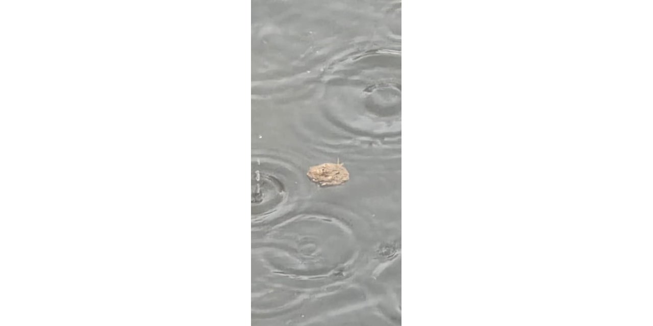 İçmeler  Azmak Deresinde kanalizasyon atıkları denize akıyor iddiası!