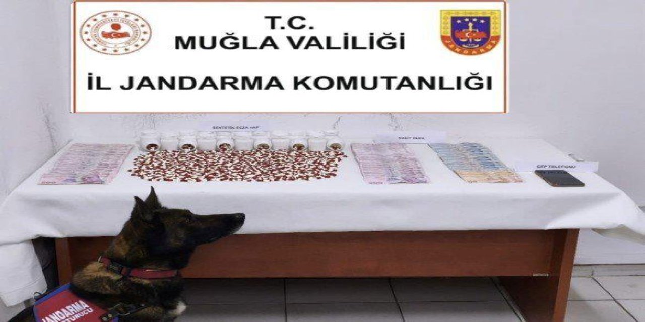 Muğla’da narkotik operasyonları 25 şüpheli yakalandı